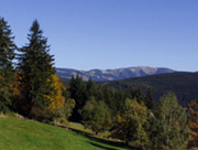 Okolí