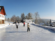 Kluziště